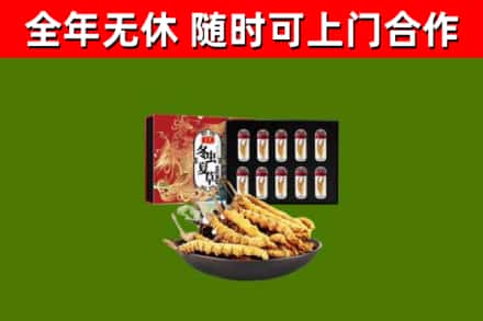 营口回收冬虫夏草价格